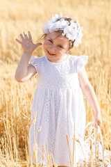 A little girl in a white dress, with a basket in her hands and a white wreath on her head in a wheat field, Jewish holiday Shavuot