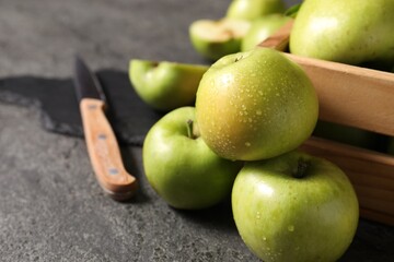 Ripe green apples with water drops and knife on grey table, closeup