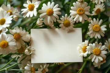 A white blank paper card, complemented by stunning chamomile flowers, serves as a delightful mock-up for holiday greetings. This spring bouquet adds a charming and cheerful touch to any message.





