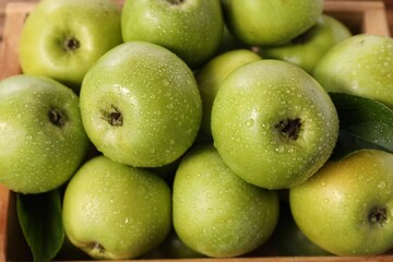 Fresh green apples with water drops in crate, closeup