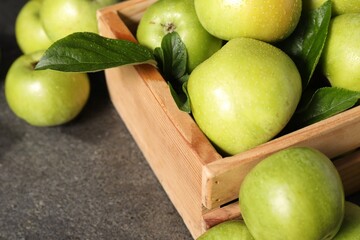 Ripe green apples with water drops in crate on grey table, closeup