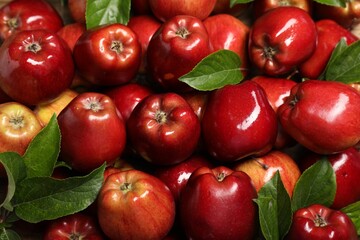 Fresh ripe red apples with leaves as background, top view