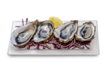Fresh open oysters with lemon slice on white rectangular plate isolated