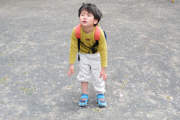 イヤイヤ期の男の子