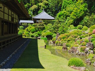 龍潭寺の池のある庭