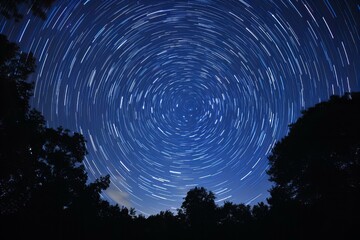 Fototapeta premium Stars streak above trees creating mesmerizing night sky view