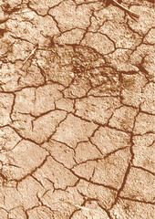 1-31. Drought-cracked dirt floor texture - illustration. Abstract background including drought, monochromatic texture image black and white tone effects.