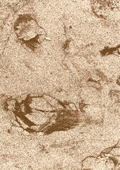 1-50. Sand Pattern - Illustration. Abstract Sand Hill Background Vector