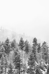 high key bw photo of foggy snowy mountain top. white on all sides