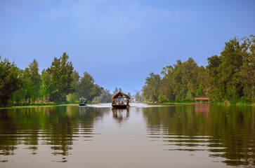 A colorful boat glides gracefully along the picturesque Xochimilco canal, surrounded by lush...