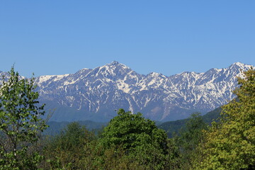 Northern Alps from Suzuriishi in the middle of Togakushi pond tour trail
