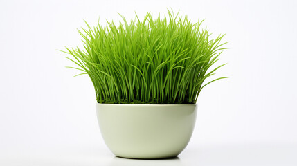 Easter Joy Sprouts: Vibrant Green Grass Flourishes in a Pot, Illuminated Against a Serene White Background, Symbolizing Renewal and Growth