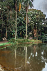 Jardim Botanic Garden. Beautiful park in S&atilde;o Paulo, Brazil.