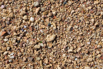 The coastline of the Red Sea. Sand, pebbles, corals, fossils. Background with a marine theme.