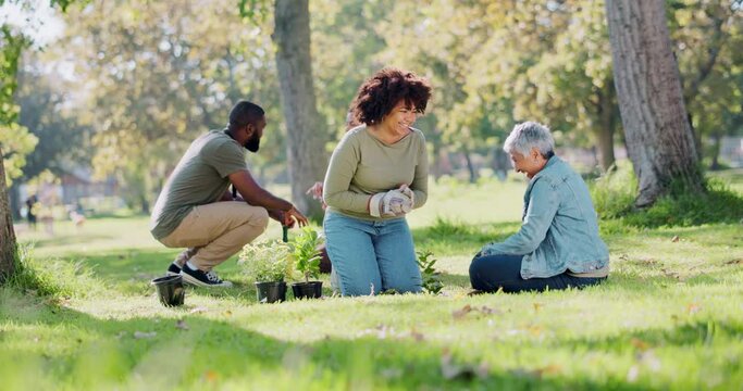 Gardening, happy people or volunteers high five in park for support, community project or nature sustainability. Planting goal, teamwork and group success in charity target or NGO for tree growth - Powered by Adobe