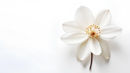 Beautiful flowers bring back memories.