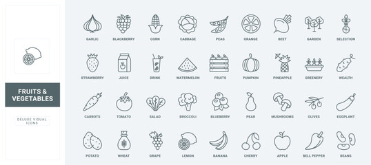 Organic harvest of tomato carrot broccoli eggplant potato pear apple cabbage thin black and red outline symbols, farm garden collection vector illustration. Vegetable, berry and fruit line icons set