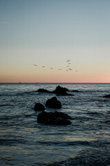 A beach with rocks and birds flying above during sunset.