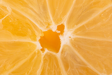 Closeup macro image of the cross-section of a lemon