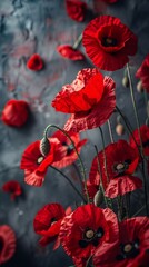 Obraz premium Memorial day with poppies