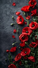 Memorial day  with poppies