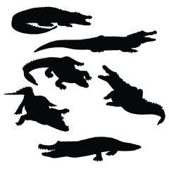 Set of Crocodile Silhouette Art