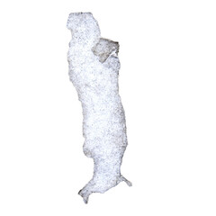 torn paper for walls and floors