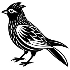 bird silhouette vector illustration