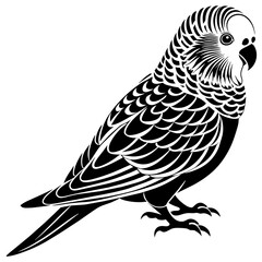 bird silhouette vector illustration