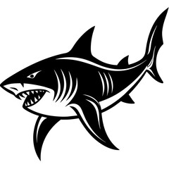 shark illustration