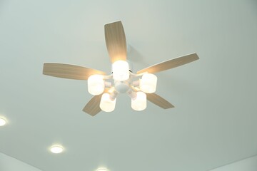 Ceiling fan with lamps indoors, low angle view