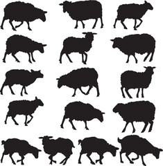 sheep silhouettes set Vector