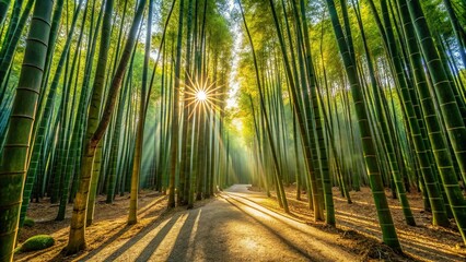 A serene bamboo grove with sunlight filtering through the dense canopy, casting intricate shadows...