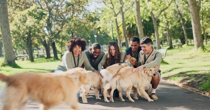 Animal rescue, volunteer and people at a park with dogs for walking, attention and behavior training in nature. Charity, care and group of vet students in a forest with happy Labrador pet puppies