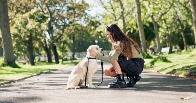 Woman, dog or pet for feeding outdoor in road with treats, snack and comfort for reward and walking in park. Animal, puppy and eating in street for nutrition, bonding and playful in nature with leash