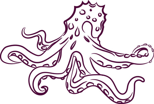 recommend clip art: Hand-drawn illustration of an octopus in outline style