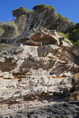 coastal seating -rough bolted timber seat on a coastal walk Victoria
