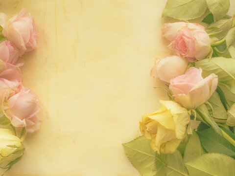Pink and yellow roses border on a yellow backround, copy space, yello toned, card concept, top view