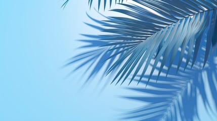 Fototapeta premium Empty Palm Shadow On A Blue Color Texture, Evoking A Sense Of Tropical Relaxation, High Quality