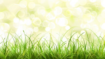 Fototapeta premium An Abstract Nature Background With Spring And Summer Vibes, Featuring Fresh Green Grass, High Quality