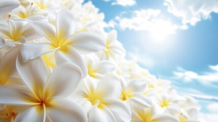 Naklejka premium Beautiful Summer Background With Yellow And White Accents, High Quality