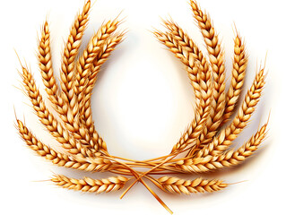 Golden wheat wreath on white background