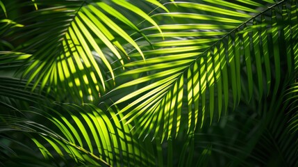 Obraz premium Abstract Green Background With Shadow Palm Leaves, Creating A Tropical And Lush Atmosphere, High Quality