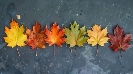 Full maple leaves in flat lay photography. First Day of Fall Concept. Leaves pattern