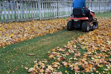 Lawn tractor mulches leaves into the lawn in the autumn to provide an environmentally friendly...