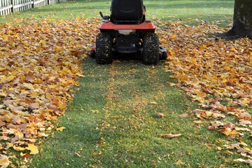 Lawn tractor mulches leaves into the lawn in the autumn to provide an environmentally friendly...