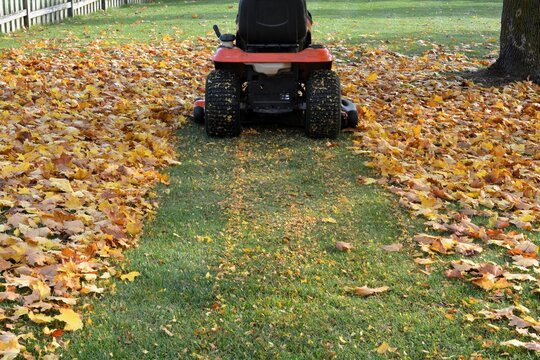 Lawn tractor mulches leaves into the lawn in the autumn to provide an environmentally friendly method to return nutrients to the soil.