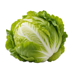 Fototapeta premium Raw cabbage isolated on transparent background