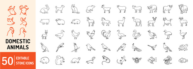 Domestic Animal editable stroke outline web icons set. Cow, goat, pig, hen, goose, horse, chicken, rooster and sheep. Vector illustration
