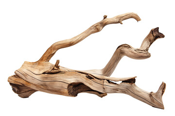Obraz premium Twisted driftwood isolated on transparent background